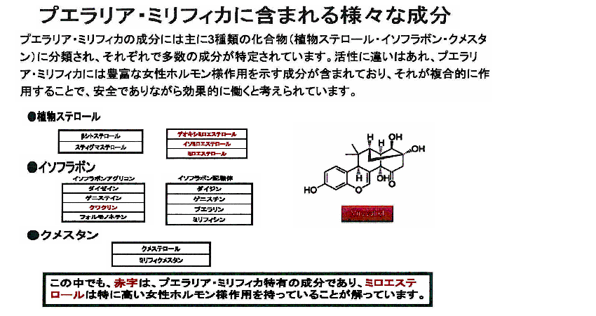○○○○○○○○イメージ